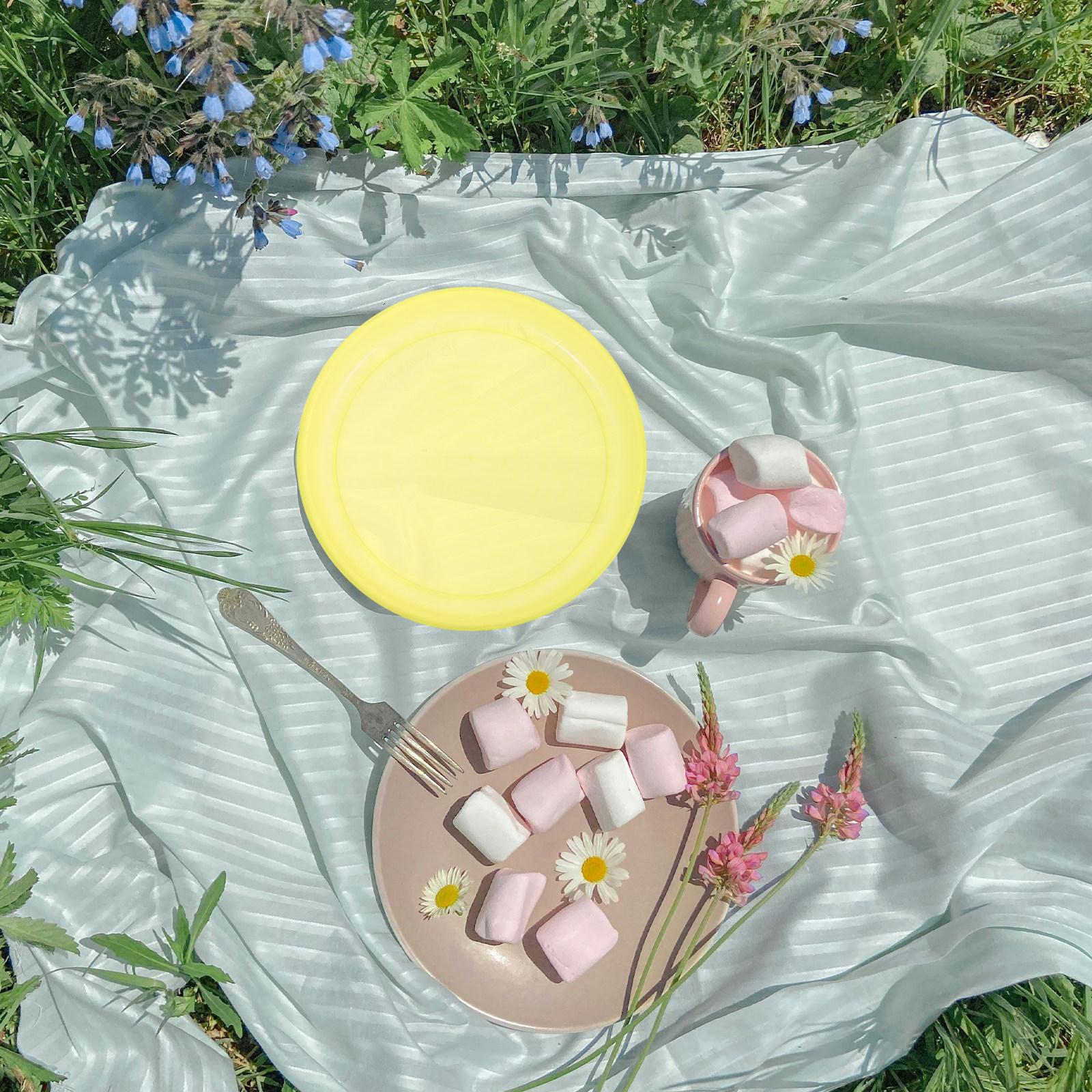 Plastic Dinner Plate Kids Reus - Kids Outdoor Bbq avis et prix