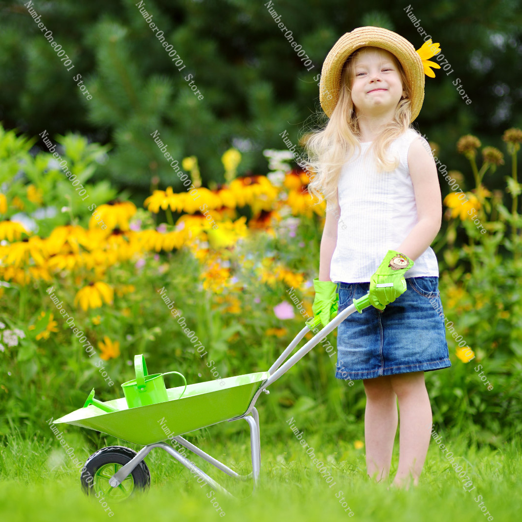Kids Outdoor Wheelbarrow, Gree - Kids Outdoor Activity Toys avis et prix