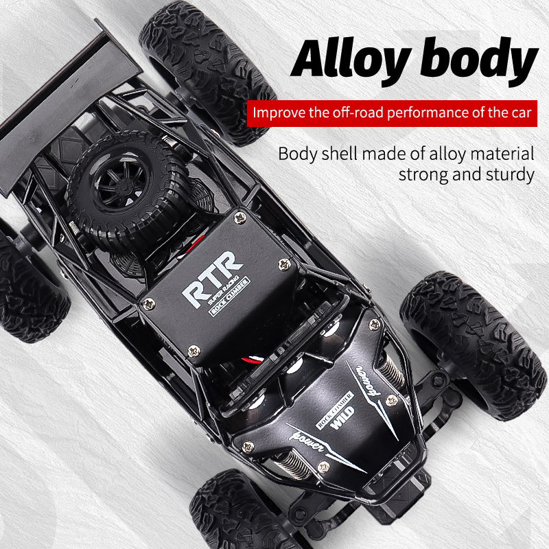 ZWN 1:16/1:20 Alloy RC Car Wit - Kids Outdoor Climbing Structure avis et prix